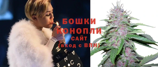 шишки Лагань