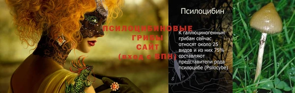 твердый Ладушкин