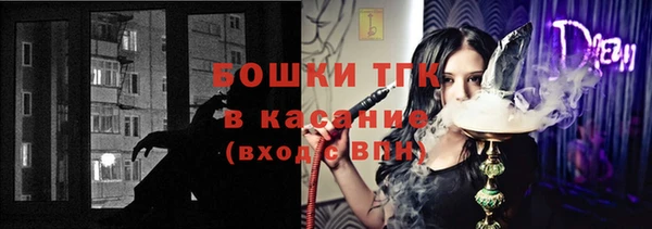 шишки Лагань