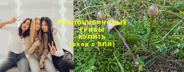 каннабис Лабытнанги