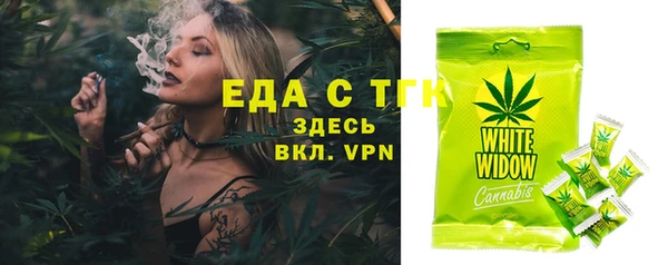 твердый Ладушкин