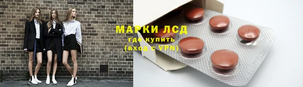 шишки Лагань