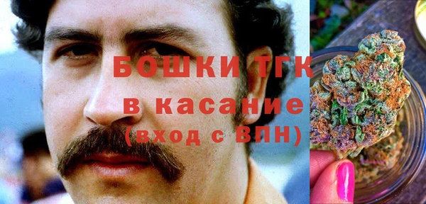 хмурый Ельня