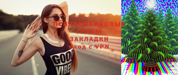 твердый Ладушкин