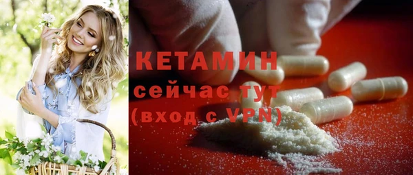 шишки Лагань