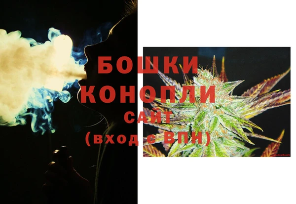 шишки Лагань